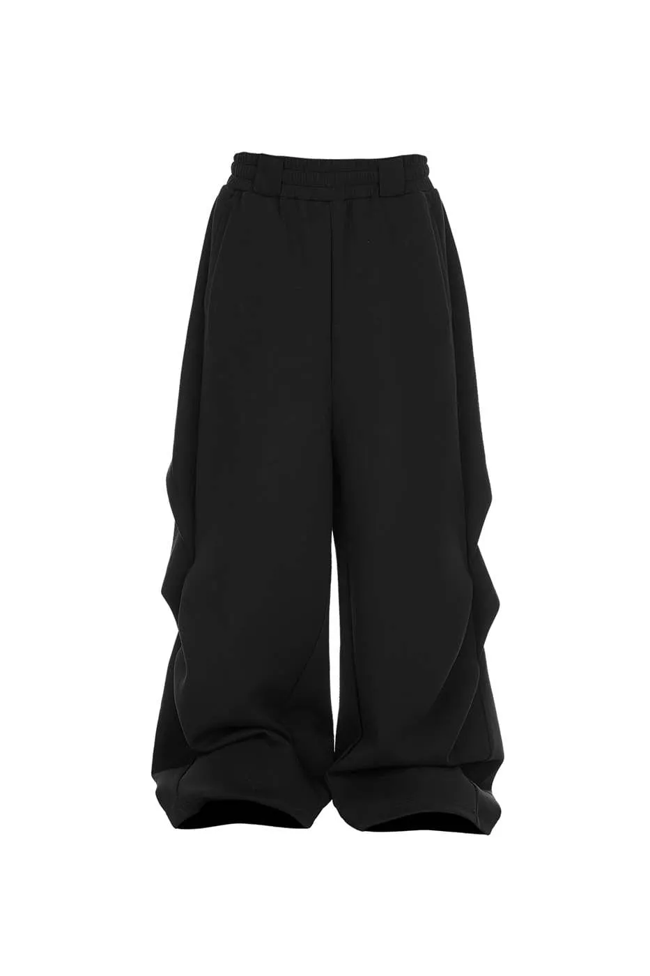 Pleated Baggy Pants