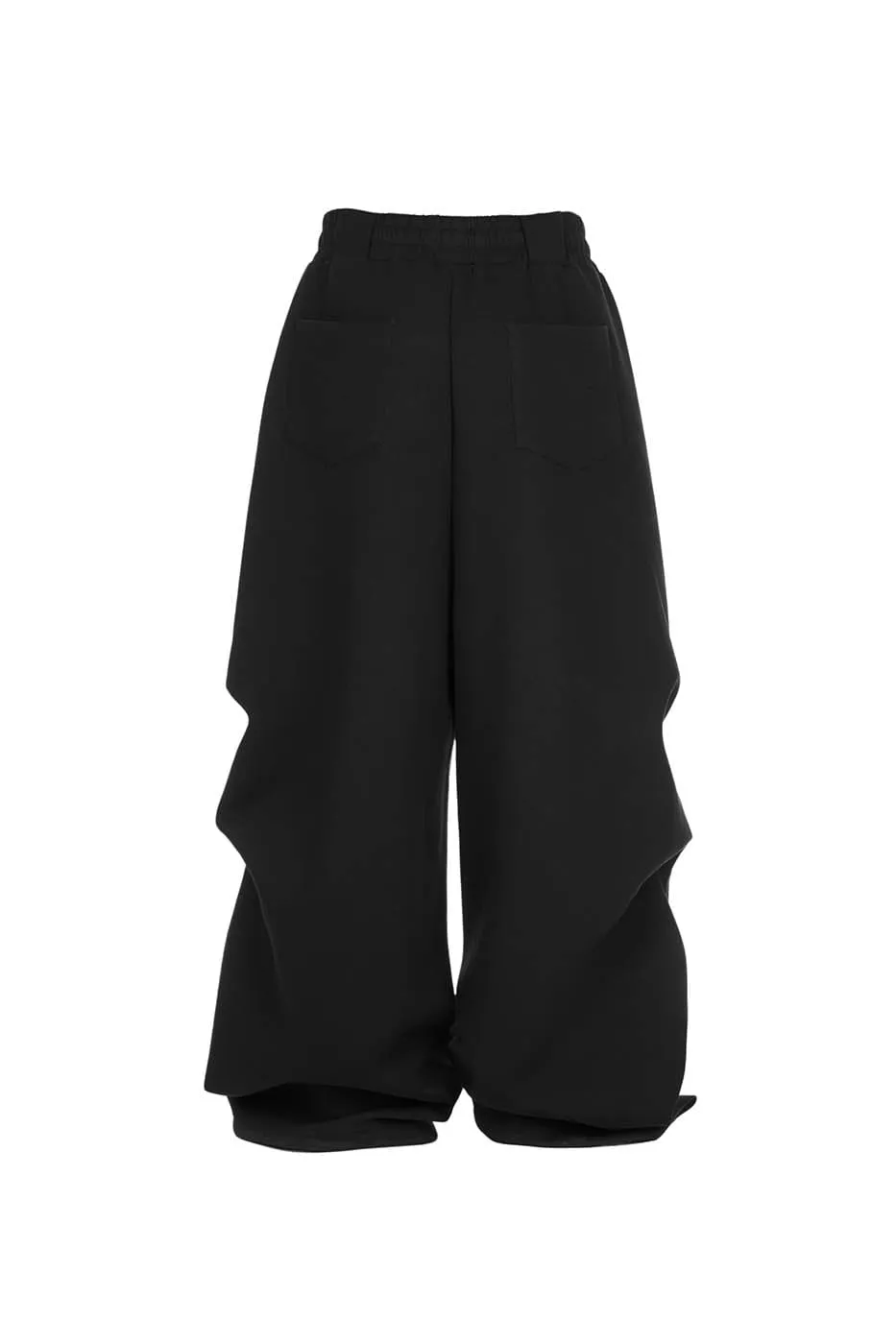 Pleated Baggy Pants